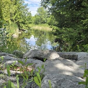 Meet your Posher, Leanne